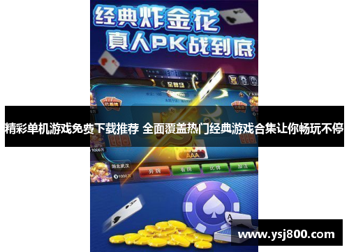 精彩单机游戏免费下载推荐 全面覆盖热门经典游戏合集让你畅玩不停